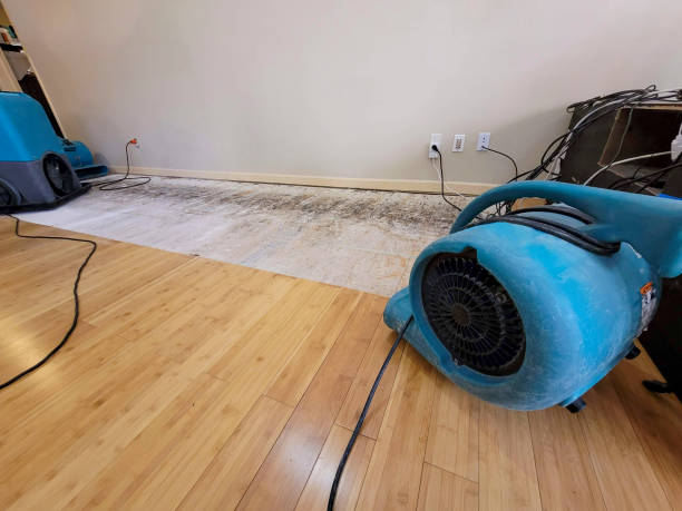 Professional Flood Damage Cleanup technician working in Eagle, ID